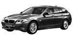 BMW F11 P317D Fault Code